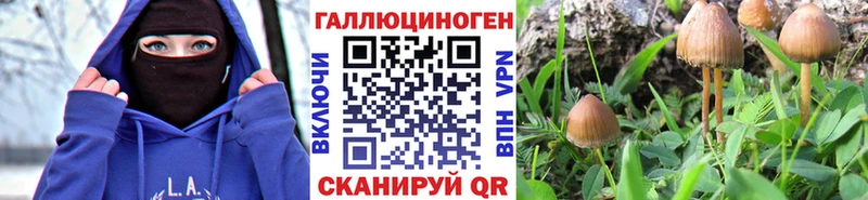 наркошоп  Кисловодск  Галлюциногенные грибы MAGIC MUSHROOMS 